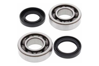 CRANK SHAFT BEARING KIT 24-1064