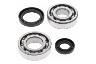 CRANK SHAFT BEARING KIT 24-1069