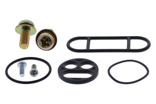 FUEL TAP REPAIR KIT 60-1049