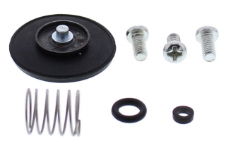 ACCELERATOR PUMP REBUILD KIT 46-3005