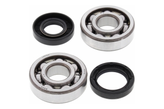 CRANK SHAFT BEARING KIT 24-1063