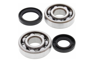 CRANK SHAFT BEARING KIT 24-1024