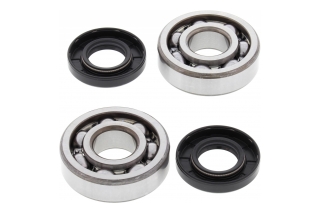 CRANK SHAFT BEARING KIT 24-1006