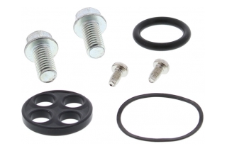 FUEL TAP REPAIR KIT 60-1023