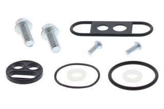 FUEL TAP REPAIR KIT 60-1020