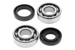 CRANK SHAFT BEARING KIT 24-1061