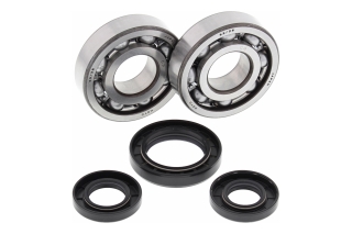 CRANK SHAFT BEARING KIT 24-1028