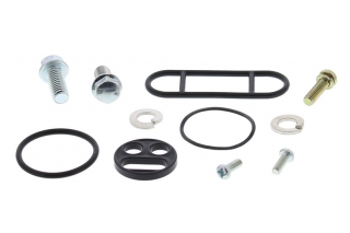 FUEL TAP REPAIR KIT 60-1006
