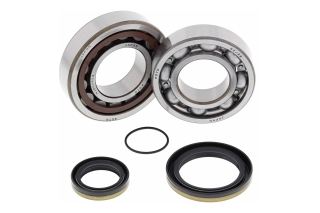 CRANK SHAFT BEARING KIT 24-1098