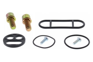 FUEL TAP REPAIR KIT 60-1035