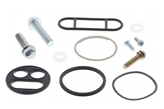 FUEL TAP REPAIR KIT 60-1097
