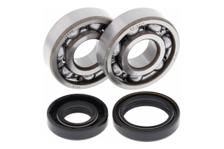 CRANK SHAFT BEARING KIT 24-1008