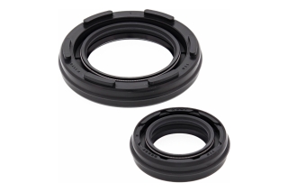 CRANKSHAFT SEAL KIT 24-2025