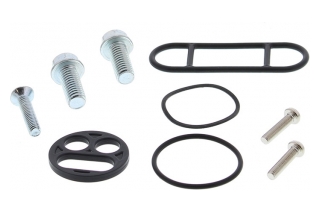 FUEL TAP REPAIR KIT 60-1001