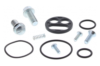 FUEL TAP REPAIR KIT 60-1099