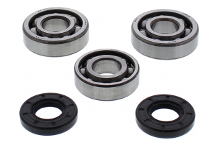 BEARING CRANKSHAFT 24-1117