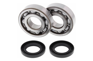 CRANK SHAFT BEARING KIT 24-1011
