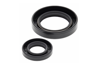 CRANK SHAFT SEAL KIT 24-2011
