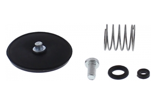 ACCELERATOR PUMP REBUILD KIT 46-3007