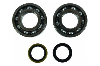 BEARING CRANKSHAFT 24-1122