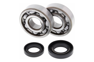 CRANK SHAFT BEARING KIT 24-1002