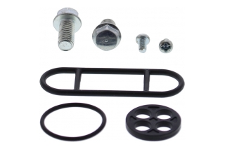 FUEL TAP REPAIR KIT 60-1079