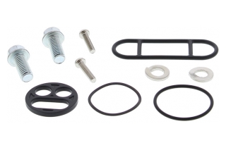 FUEL TAP REPAIR KIT 60-1005