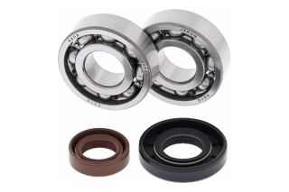 CRANK SHAFT BEARING KIT 24-1101
