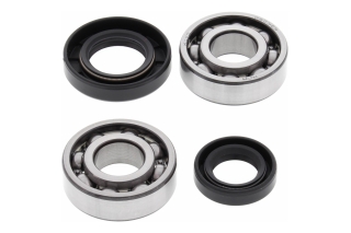 CRANK SHAFT BEARING KIT 24-1067