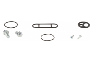 FUEL TAP REPAIR KIT 60-1125