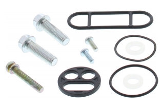 FUEL TAP REPAIR KIT 60-1118