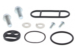 FUEL TAP REPAIR KIT 60-1012