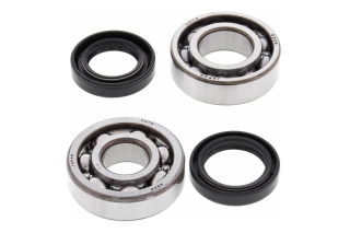 CRANK SHAFT BEARING KIT 24-1073