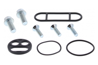 FUEL TAP REPAIR KIT 60-1003