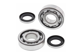 CRANK SHAFT BEARING KIT 24-1044
