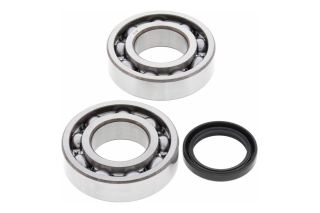 CRANK SHAFT BEARING KIT 24-1081