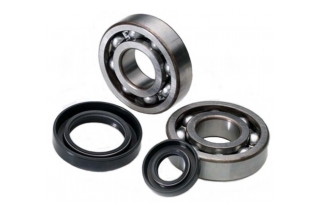 CRANK SHAFT BEARING KIT 24-1037