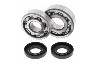 CRANK SHAFT BEARING KIT 24-1007