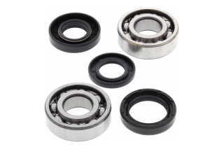 CRANK SHAFT BEARING KIT 24-1022