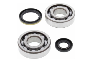 CRANK SHAFT BEARING KIT 24-1020