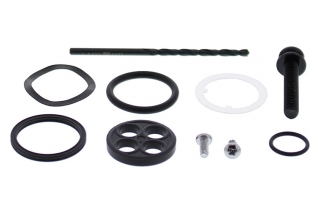 FUEL TAP REPAIR KIT 60-1208
