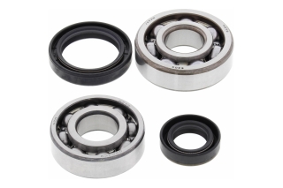 CRANK SHAFT BEARING KIT 24-1013