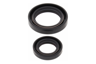 CRANK SHAFT SEAL KIT 24-2009
