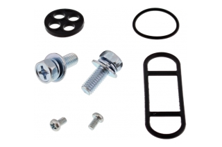 FUEL TAP REPAIR KIT 60-1089