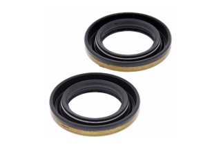 CRANK SHAFT SEAL KIT 24-2031