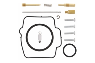 CARBURETOR REBUILD KIT 26-1159