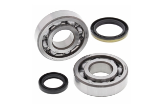 CRANK SHAFT BEARING KIT 24-1060