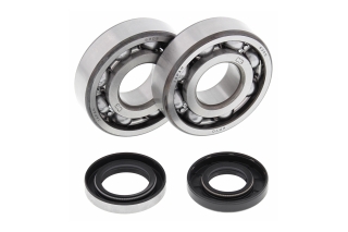 CRANK SHAFT BEARING KIT 24-1109
