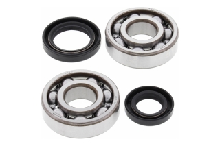CRANK SHAFT BEARING KIT 24-1075