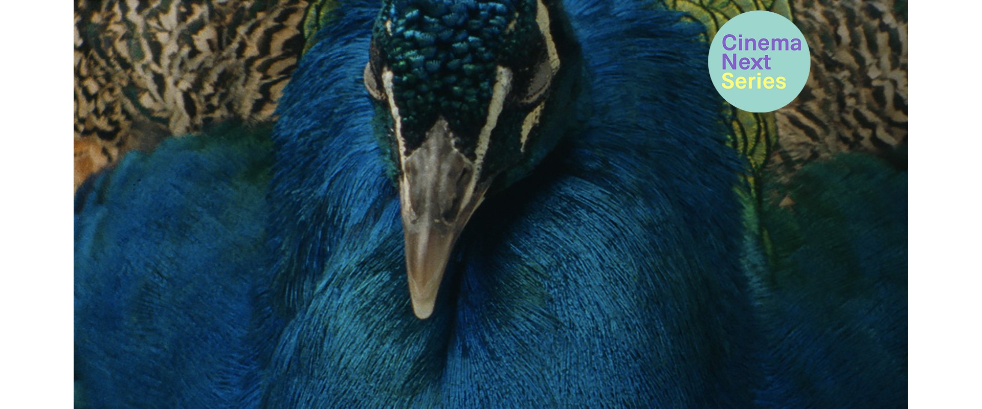 Libya migrant boats picture